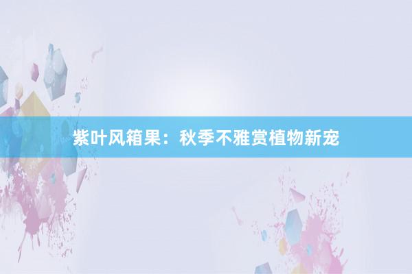 紫叶风箱果：秋季不雅赏植物新宠