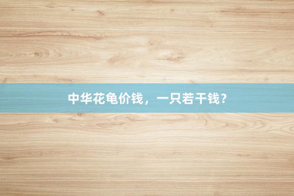 中华花龟价钱，一只若干钱？